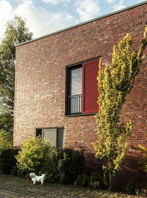 Schickes Wohnstudio Mit Garten Am Aasee Ibbenbüren 외부 사진